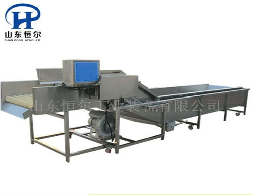 山東恒爾 專業商用生菜清洗加工設備的領航者